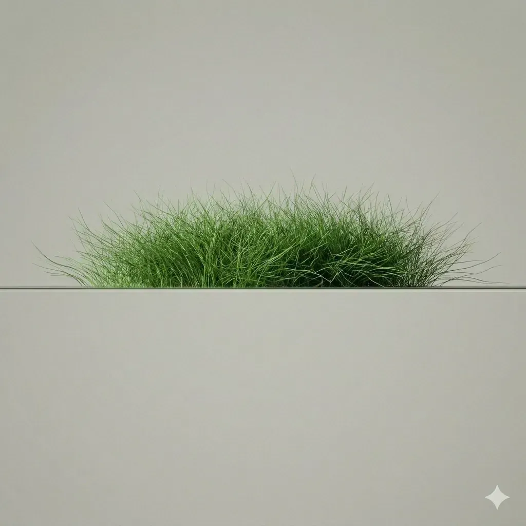 Thin / soft hair (male example)
